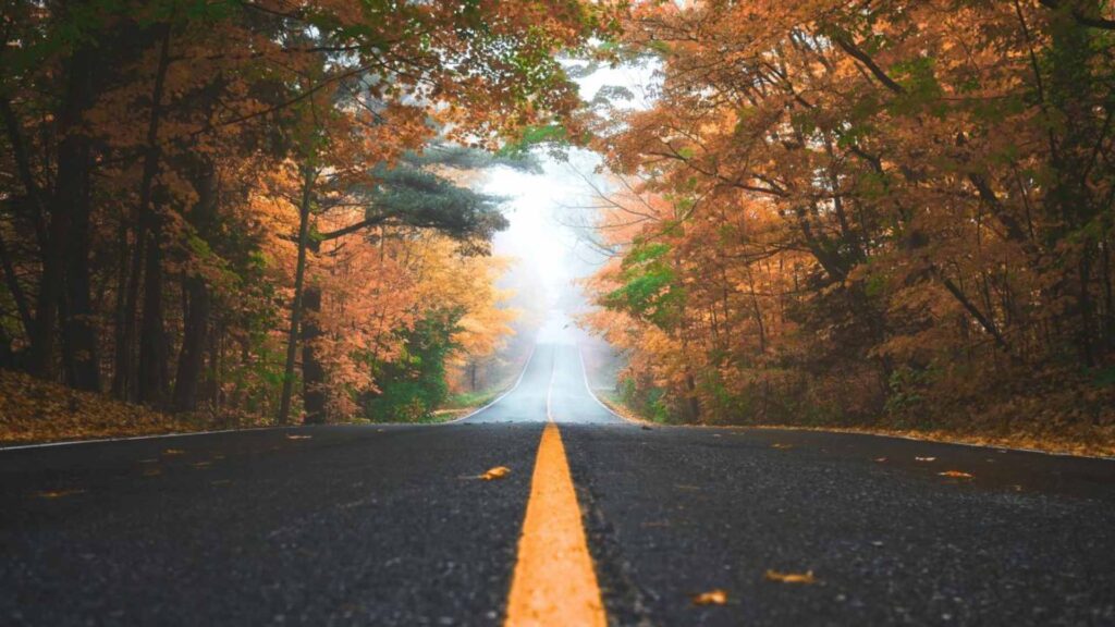 Candidate Journey