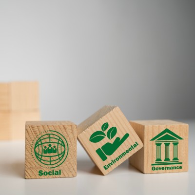 tre cubi in primo piano con scritto: social, environmental e governance